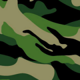 Camo
