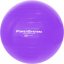 Power System 4012PU Gymnastický míč na cvičení Pro Gymball 65cm fialový