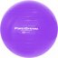 Power System 4011PU Gymnastický míč na cvičení Pro Gymball 55cm fialový